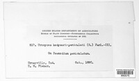 Image Associated With the Occurence